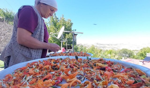 Tuncelili hanımlar gıda fiyatlarındaki artıştan alternatif yöntemlerle korunuyor