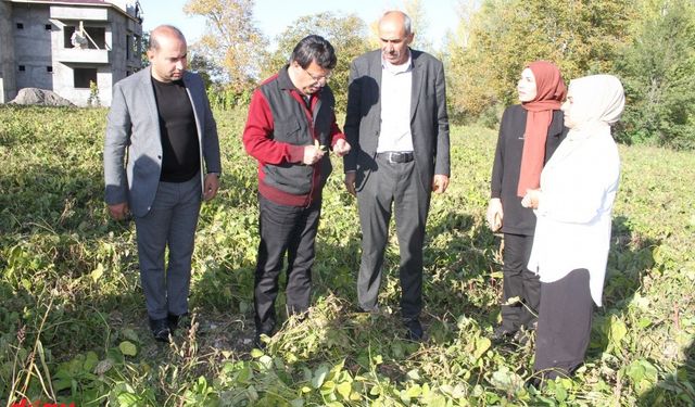 AK Parti Van Milletvekili Türkmenoğlu kadın kooperatiflerini ziyaret etti