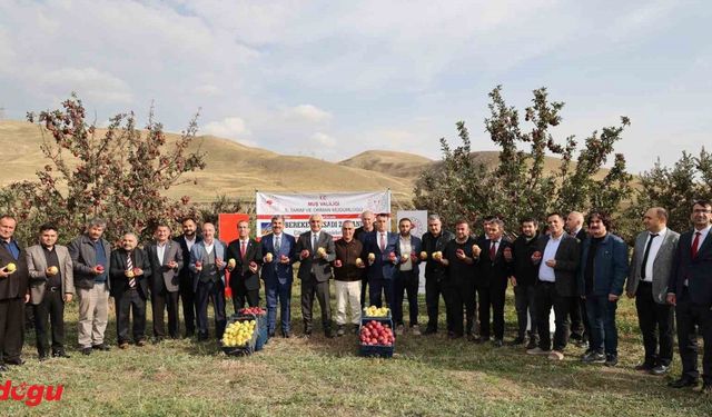 Aromasını gece ve gündüz arasındaki sıcaklık farkından alan elmanın hasadı yapıldı