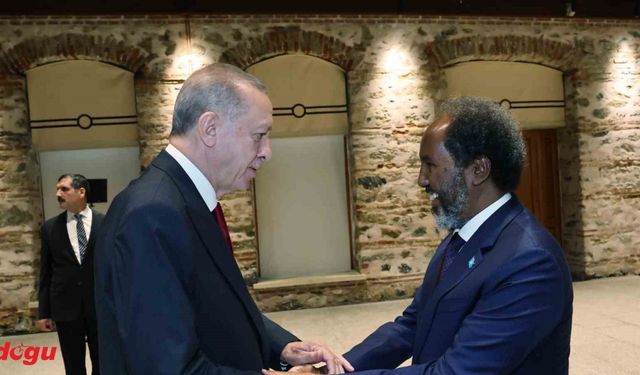Cumhurbaşkanı Erdoğan, Somalili mevkidaşı Hasan Şeyh Mahmud ile görüştü