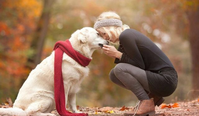 Soğuk kış aylarında köpek bakımı