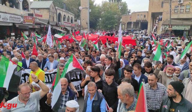 Şanlıurfa’da binlerce kişi Filistin için yürüdü