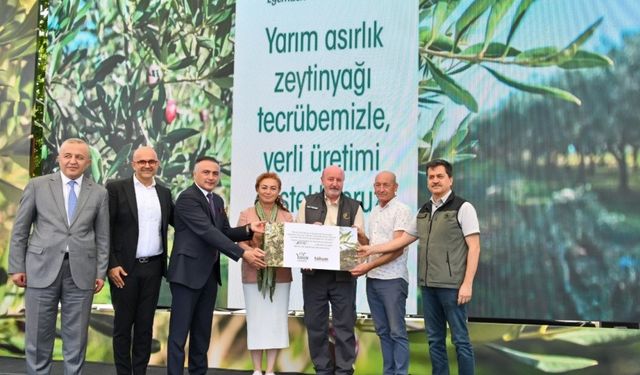 Yudum Egemden ve Tohum Derneği, yabani zeytin ağaçlarını ekonomiye kazandırmayı sürdürüyor