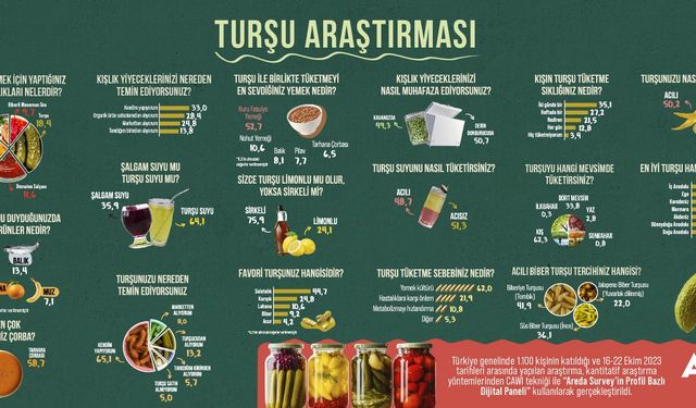 14 Kasım Dünya Turşu Gününe Özel Araştırma: Limonlu mu yoksa sirkeli mi?