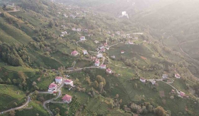 3 mahalle arasında kalan köy ’doğalgaz’ umuduyla mahalle olabilmek için referanduma gidiyor