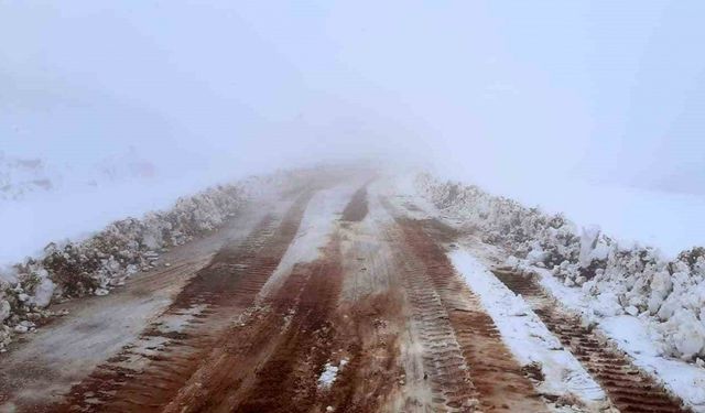 Bingöl’de 2 bin 500 rakımlı tepe beyaza büründü