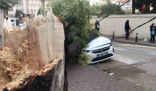 Bursa’da lodos hayatı felç etti