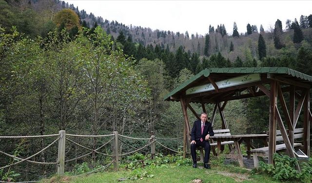 Cumhurbaşkanı Erdoğan, Ayder Yaylası'nda incelemelerde bulundu