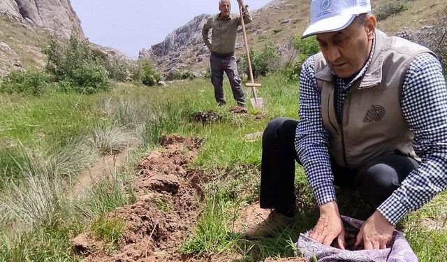 Elazığ’da kaçak salep soğanı toplayan 26 kişiye 2 milyon 964 bin lira ceza