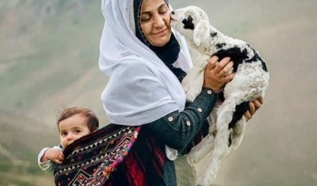 Mehmet Aslan / Kuzular Fotoğrafı Bakan Özel Ödülüne Layık Görüldü