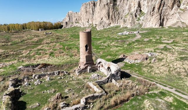 Selçuklu dönemine ait tarihi Van Ulu Cami'nin restorasyon çalışmaları başladı