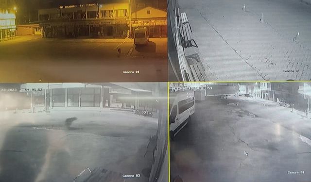 Sokakları süpüren temizlik işçisinin karşısına ayı çıktı