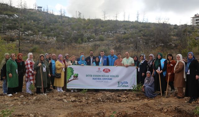 TDV “1 İyilik 1 Fidan” kampanyasıyla yıl sonuna kadar 800 bin fidan dikecek