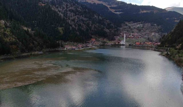 Uzungöl’ü bekleyen sinsi tehlike