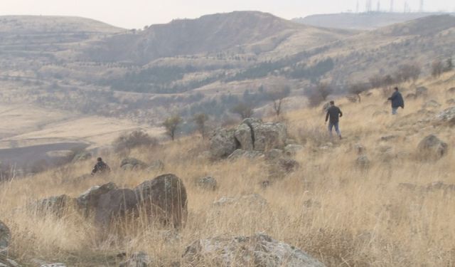 Başkent’te başıboş köpek dehşeti