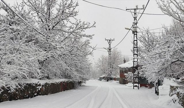 Bingöl'de kar nedeniyle 10 köy yolu ulaşıma kapandı