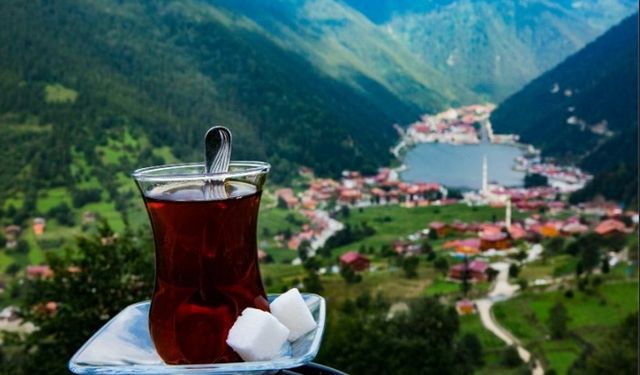 Ünlü şairlerin kaleminden çay ile ilgili şiir alıntıları, anlamlı ve özlü sözler…