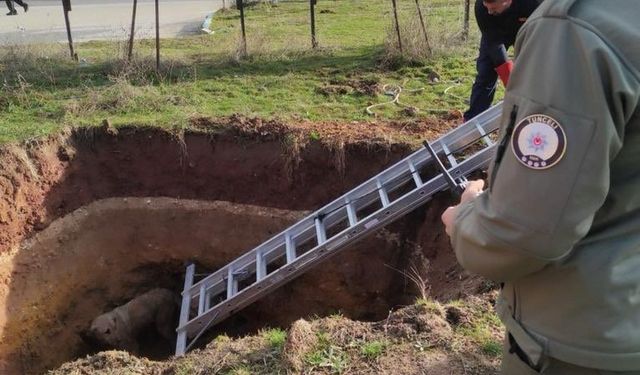 İş makinesinin açtığı kuyuya düştü, yardımına  itfaiye ve polis ekipleri yetişti!