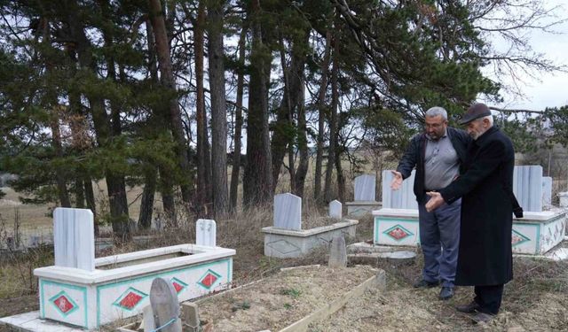 Kış uykusuna yatamayan ayılar, mezarları kazmaya başladı