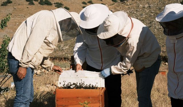 KUDAKA Yüksek Rakımlı Erzurum Balını markalaştıracak