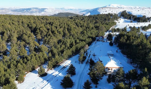 Sivas'tan Erzuruma Erzincan'dan Ardahan'a herkes Kış Tazminatı istiyor