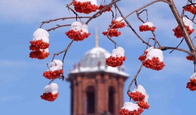 Erzurum’da termometreler -21 dereceyi gördü