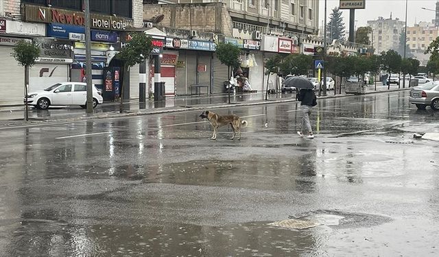 Şanlıurfa'da sağanak nedeniyle eğitime ara verildi