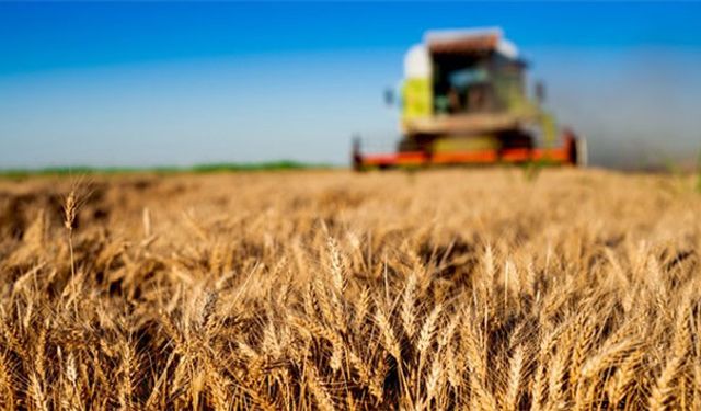 Tarım-ÜFE yıllık %57,85, aylık %3,85 arttı