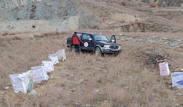 Tuz çalısı deneme sahası oluşturuldu