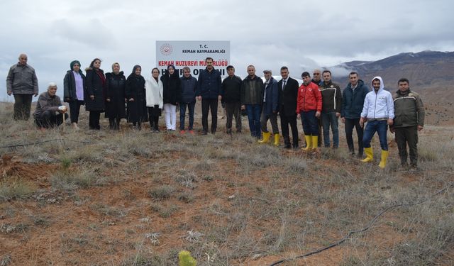 Fidan dikim etkinliği gerçekleştirildi