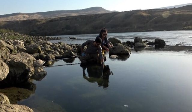 Fırat Nehrinde balıkları öldürücü etkiye sahip herhangi bir değere rastlanmadı