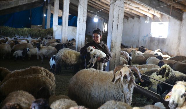 Hakkari'de gençler "Uzman Eller" projesiyle hayallerini gerçekleştirdi