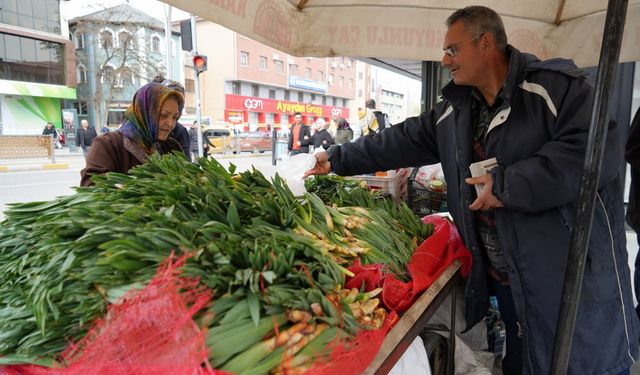 Çiriş otu tezgahlarda yerini aldı