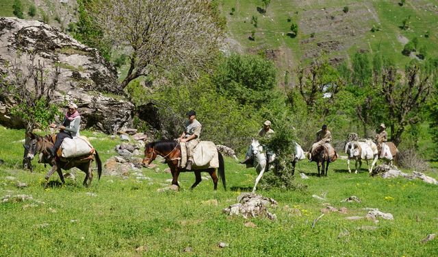 Terörden temizlenen dağlarda yetişen otlar şifa oluyor!