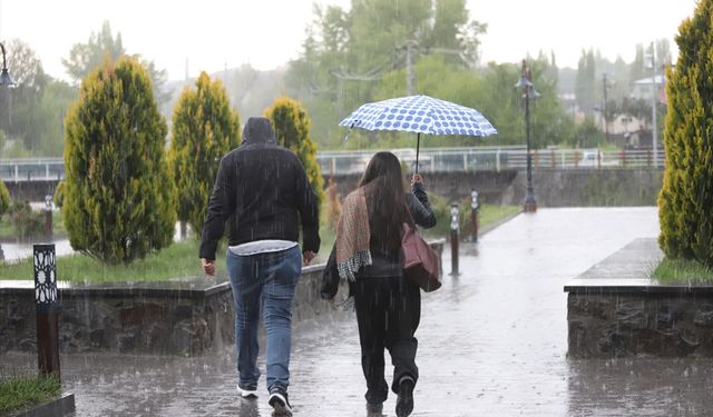 Ağrı'da dolu ve sağanak, Kars'ta ise sağanak etkili oldu