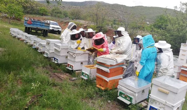 Kadınlar arı sütü üreterek ekonomiye katkı sağlayacak