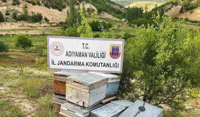 Çalınan arı kovanları jandarma tarafından bulundu