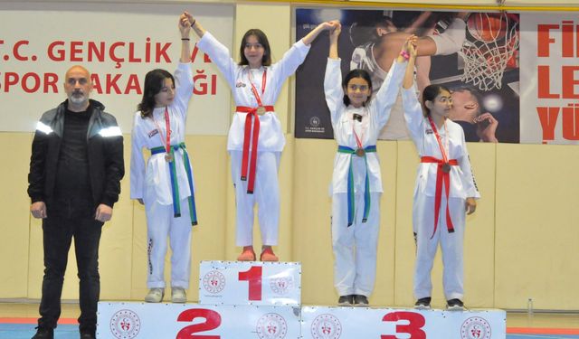 Taekwondo İl Birinciliği Müsabakaları yapıldı