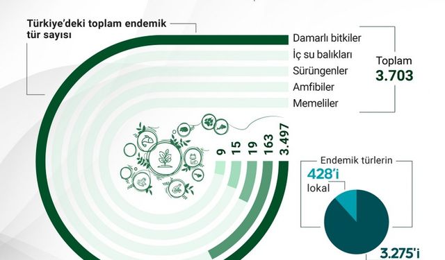 Türkiye 3 bin 703 endemik türe ev sahipliği yapıyor