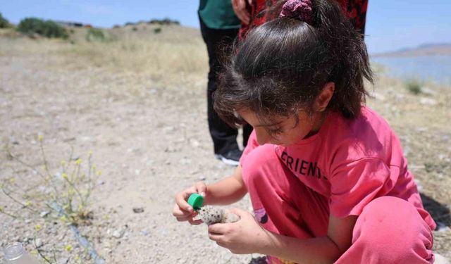 8 yaşındaki kızın, susuz kalan martı yavrusunu kurtarma mücadelesi yüreklere dokundu