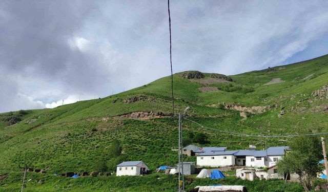 Besicilik işine devam etmek istiyor, hayvan verilmesini bekliyor