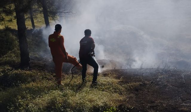Bingöl'de çıkan örtü yangını ekiplerce söndürüldü
