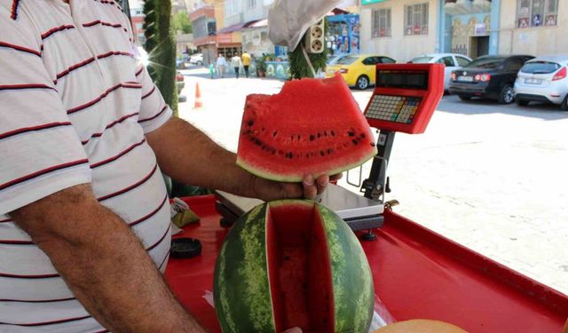 Bunaltıcı sıcaklar vatandaşı sulu meyvelere yönlendirdi