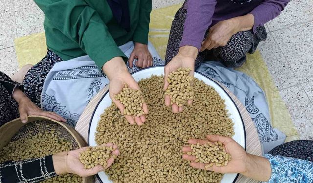 Coğrafi işaretli Ulukale dutu, Tunceli’nin köyünden çıkıp dünyaya ihraç ediliyor