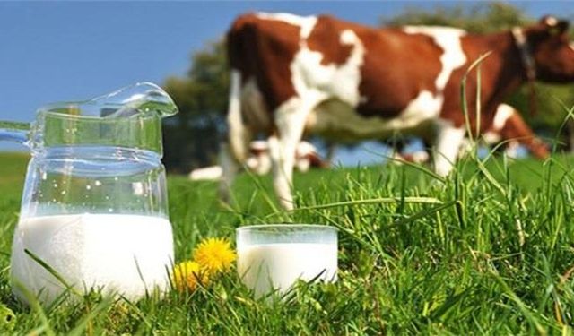 Dünya Süt Günü'nün kökeni ve tarihçesi