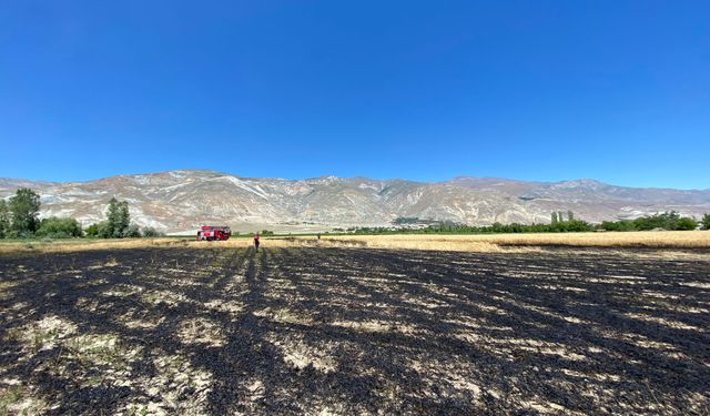 Erzincan'da Ekin Yangını Söndürüldü