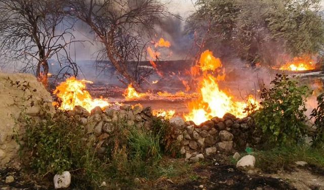 Elazığ'da çıkan yangında meyve ağaçları zarar gördü