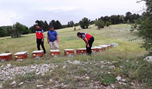 Emet’te ayılar tarafından kovanları parçalanan yetiştiriciye arkadaşlarından destek