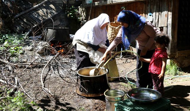 Dut Pekmezi: Yüzyıllık Geleneksel Lezzet ve Sağlık Hazinesi