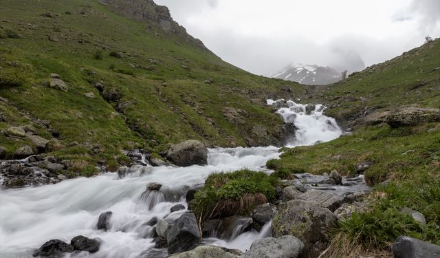 Erzurum-Rize sınırındaki zirveler doğaseverleri bekliyor